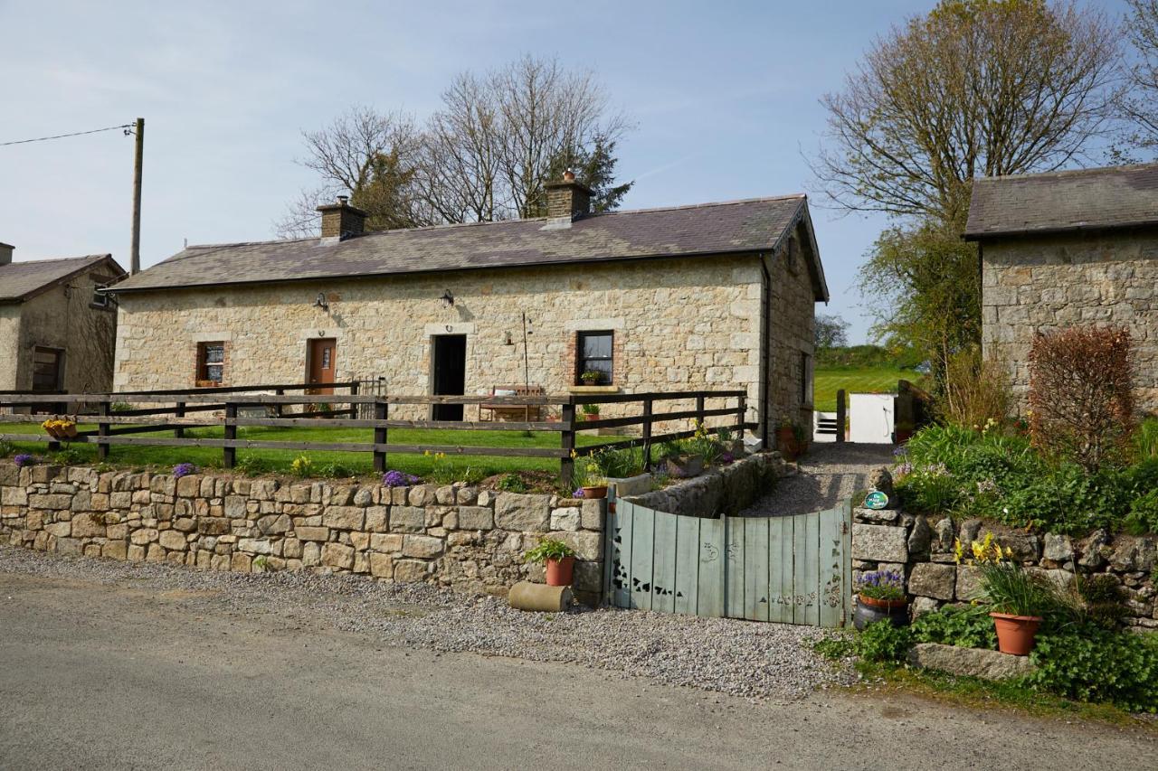 Kilquiggan Cottages Coolkenno エクステリア 写真